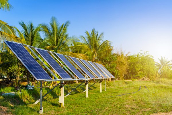 Agricultural Solar Plants
